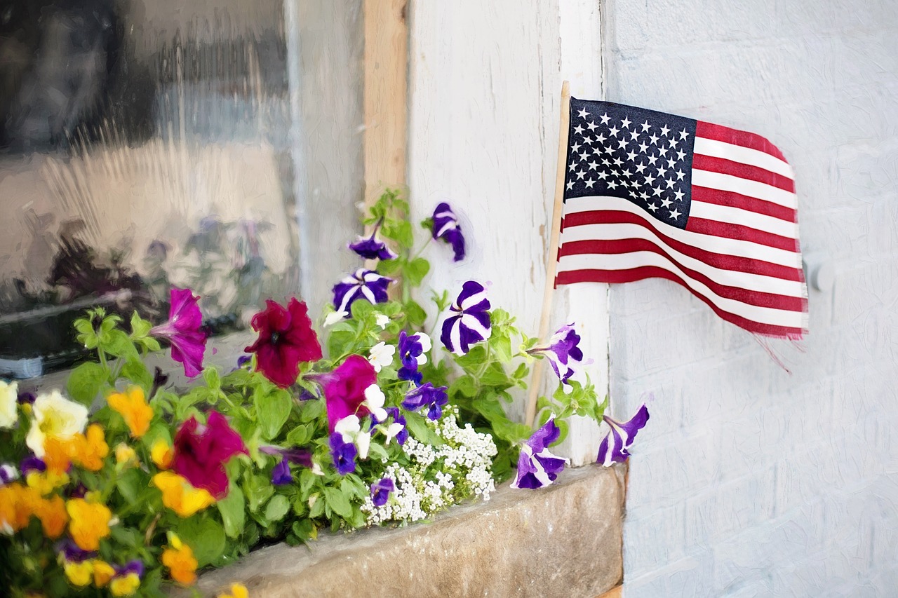 American flag stock