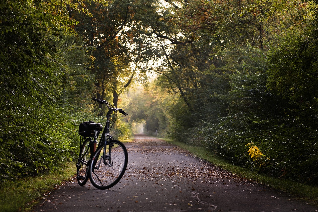 Bike path 1