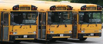 buses